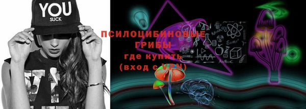 прущие крисы Абинск