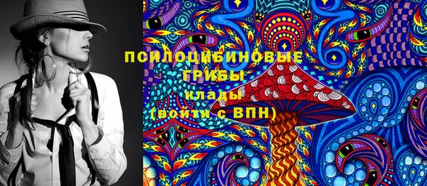 индика Алексеевка