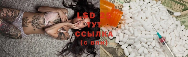 индика Алексеевка