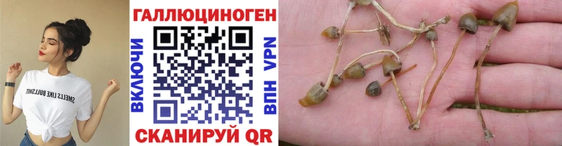 гидра онион  Красноармейск  Галлюциногенные грибы Psilocybine cubensis  наркошоп 