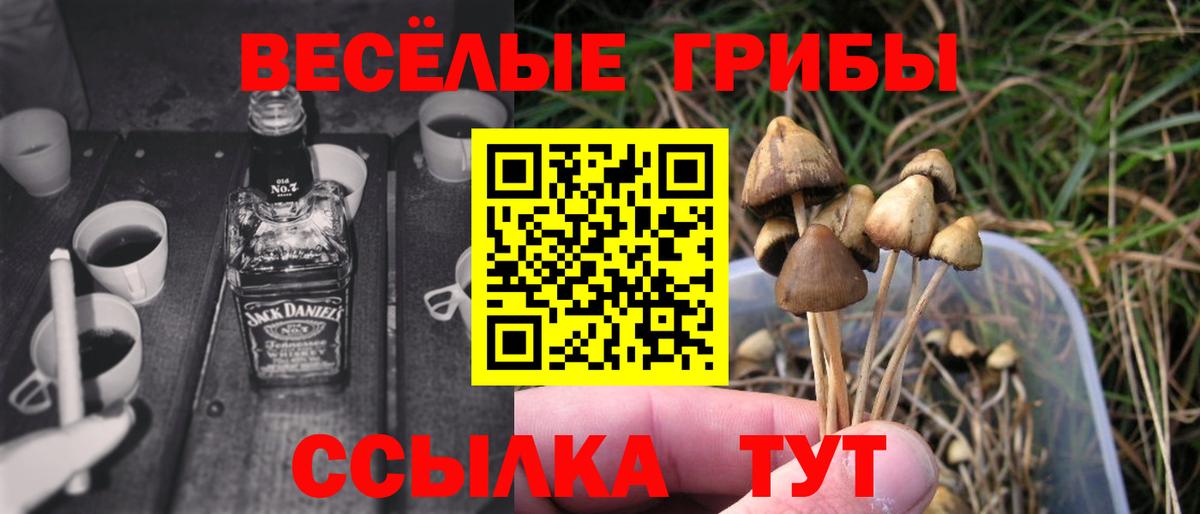 Красноармейск  наркошоп  Вход с VPN  Галлюциногенные грибы Psilocybine cubensis  Псилоцибиновые грибы ЛСД 